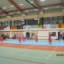 dnio 49